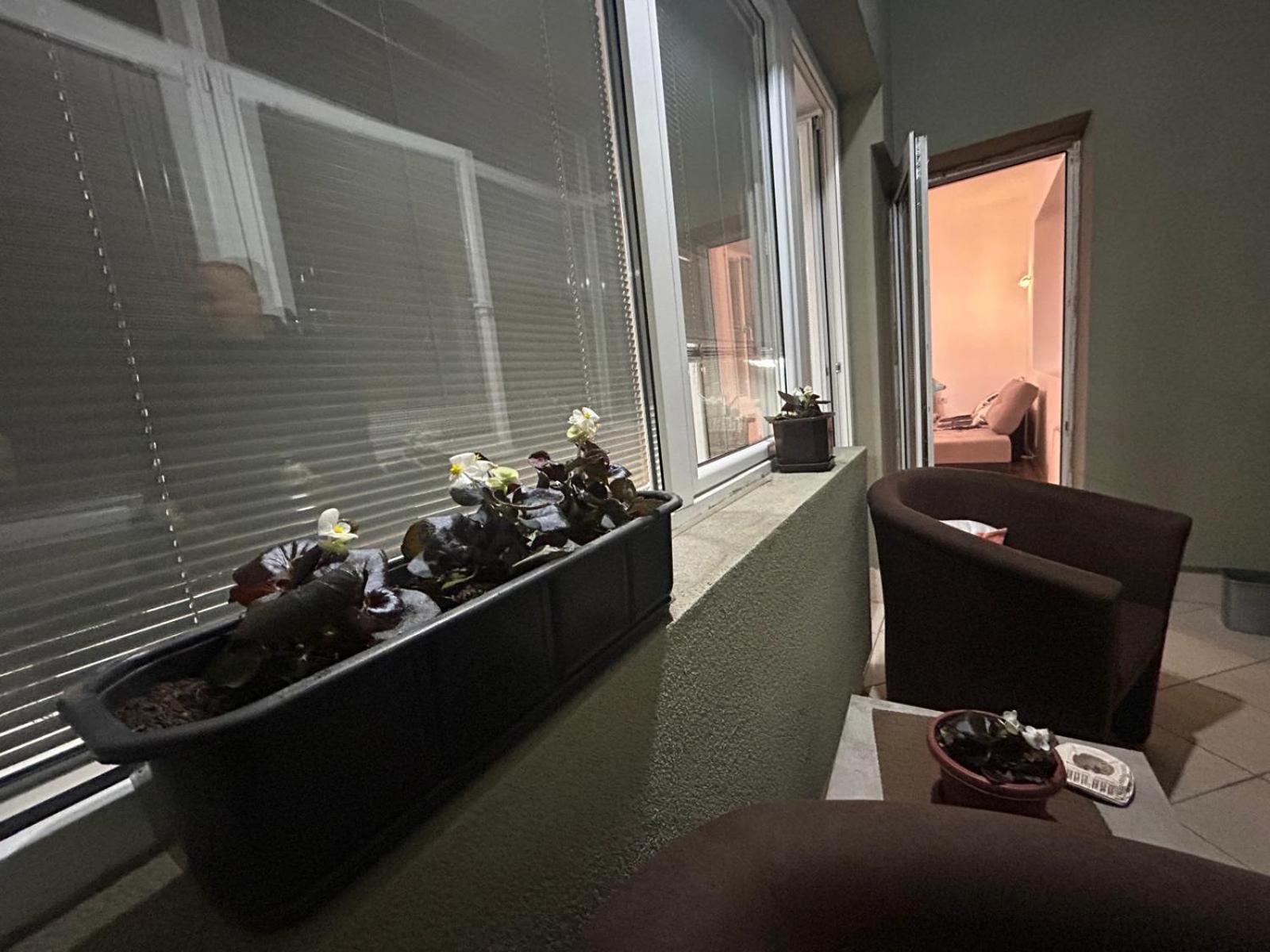 Elena Apartment 2 斯科普里 外观 照片